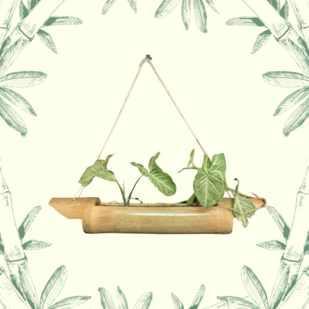 bamboo hanging planter